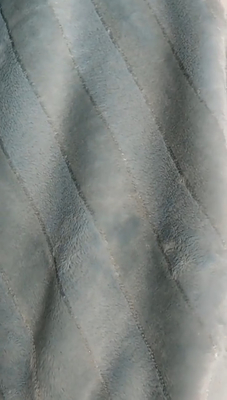 tissu de flanelle du polyester 320gsm