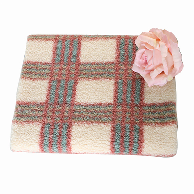 polyester 100% simple de tissu de Brown Sherpa du côté 188F pour le pull de textile de maison de Pillowslip