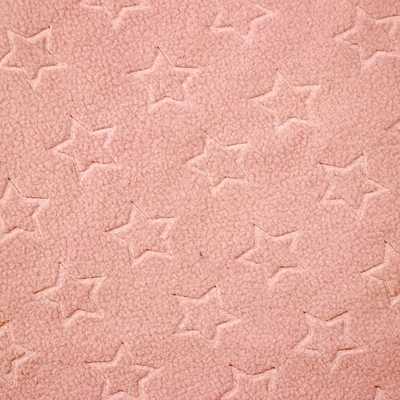 tissu micro de la laine polaire 210gsm